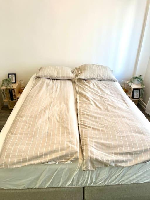 Experience Nordic Nest In Urban Apartment Oslo