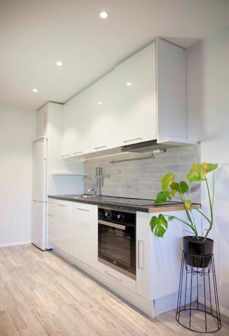 Experience Nordic Nest In Urban Apartment Oslo