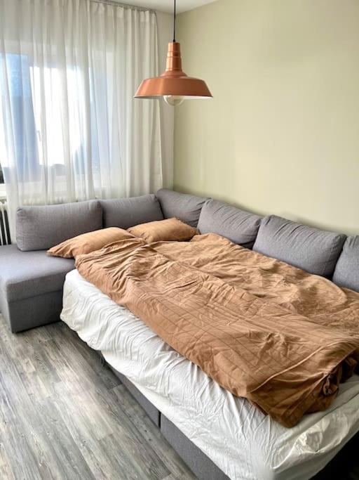 Experience Nordic Nest In Urban Oslo